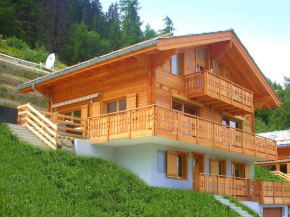 A luxurious 12 person chalet with superb view Les Collons
